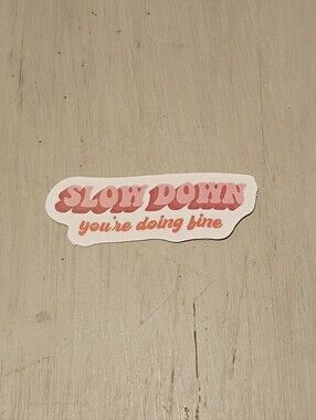 10/$10 Sticker Decal - Slow Down You're Doing Fine - Pink & Orange Text - New